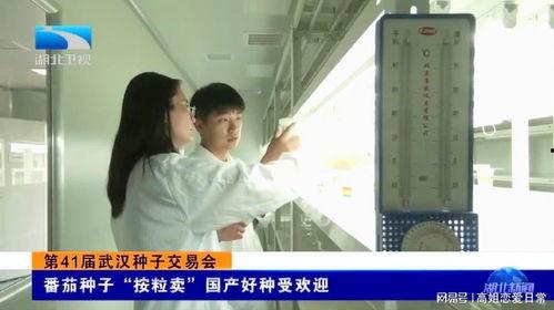 武汉国产真实视频种子,记录城市脉搏与生活点滴